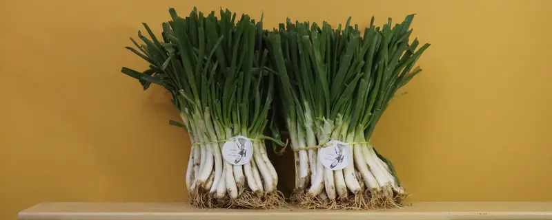 100 calçots