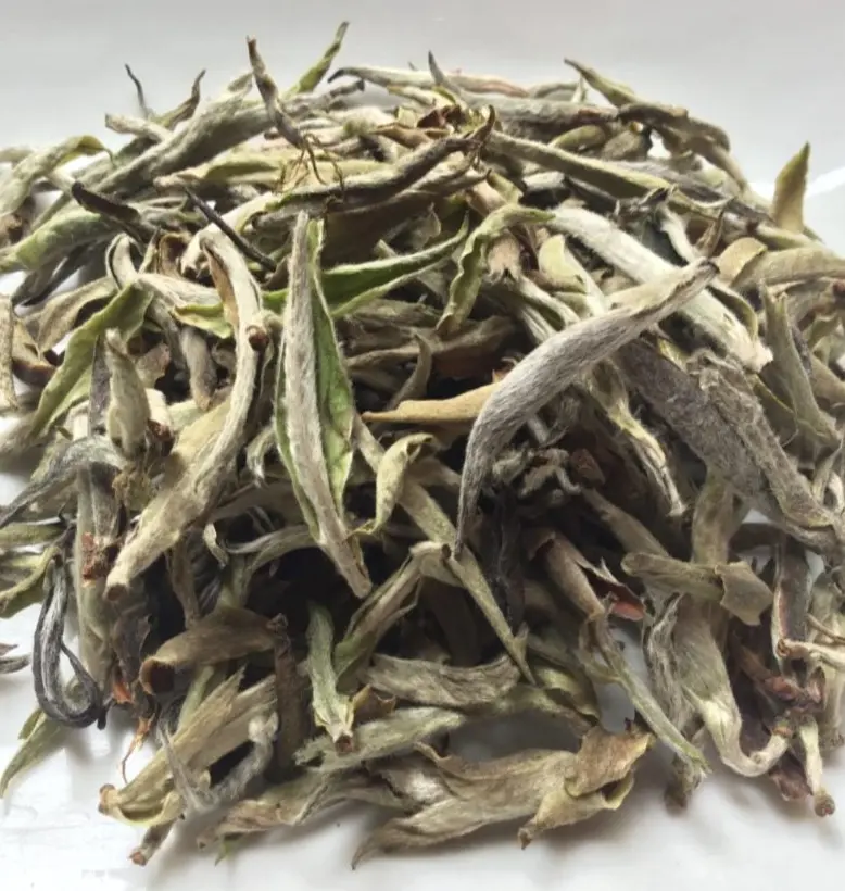 #131 Wild Silver Needles Vietnam