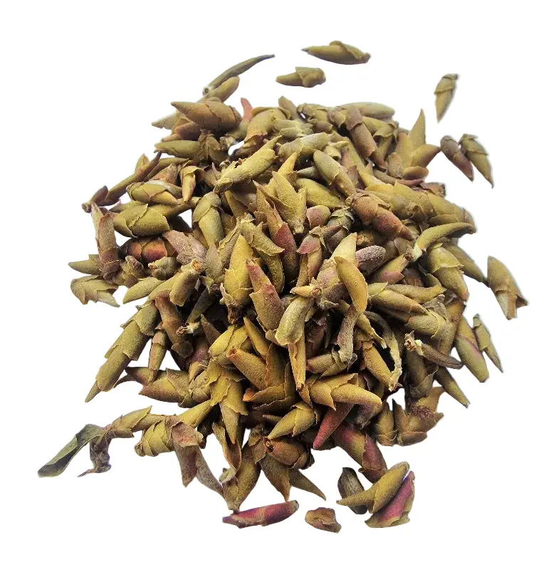 #133 Wild Purple Buds