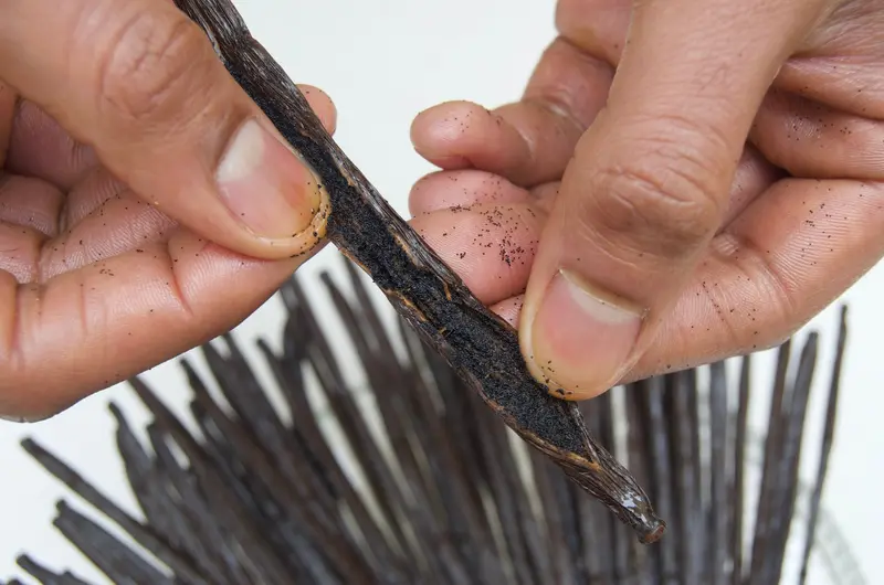 20 Vainas de Vainilla Bourbon de Madagascar – Gourmet 18-21 cm
