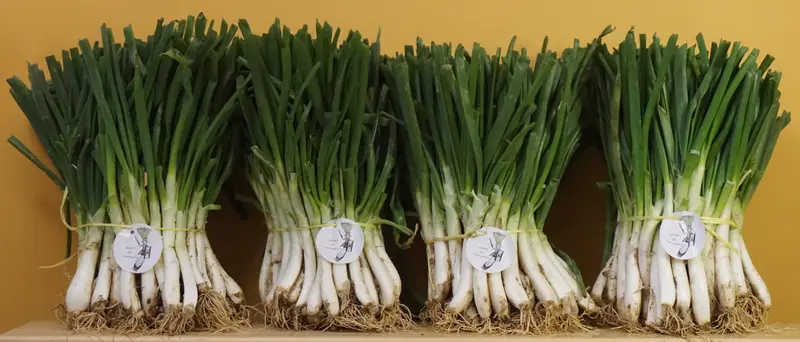 200 calçots
