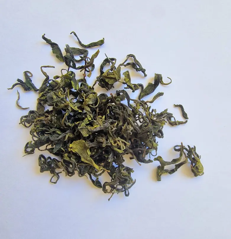 #295 Orient Rose "Cha Camelia"