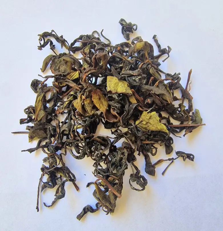 #347 Long Cha "Cha Camelia"