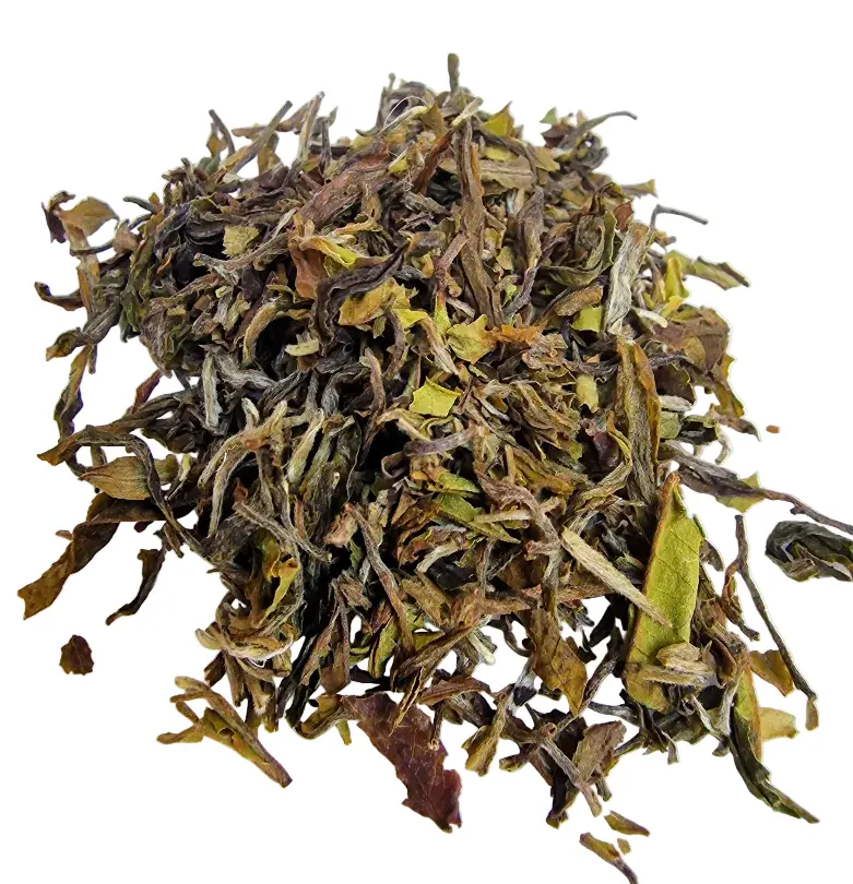 #404 First Flush Darjeeling Samabeong Spring Blossom