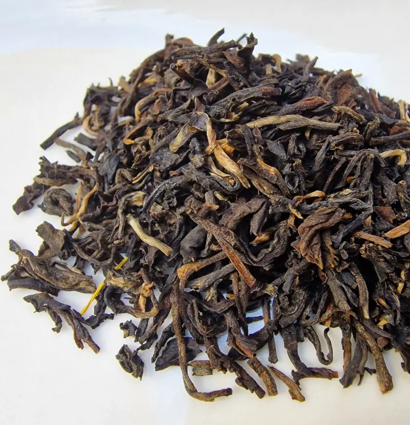 #538 Wild Black Lotus Vietnam