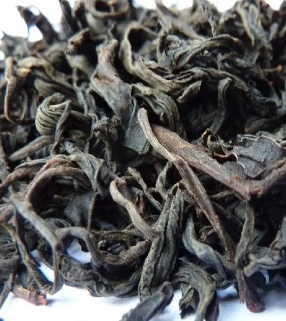 #540 Georgia Likhauri Organic