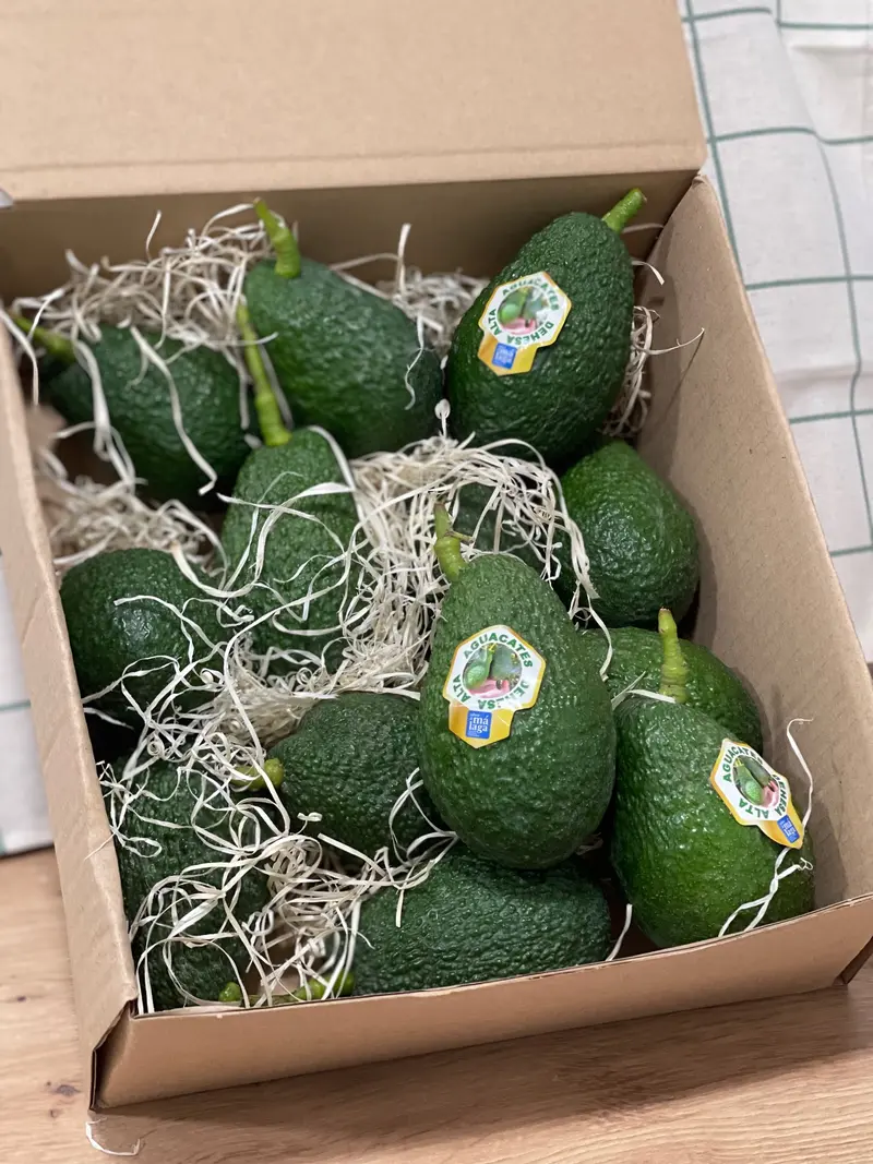 Aguacate Hass - Caja de 2.5 kg