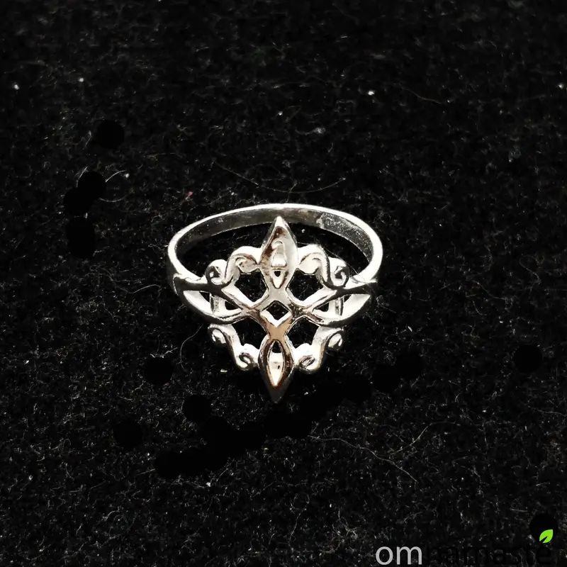 Anillo de plata Nudo de Brujas Talla 15/16