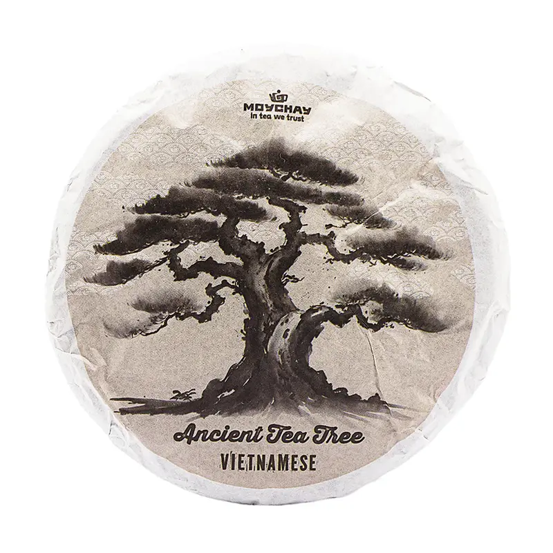 Árbol antiguo vietnamita Sheng Puer (2024) 100 g
