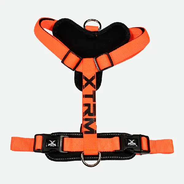 Arnés X-TRM Cronos Neon Flash - Naranja y negro