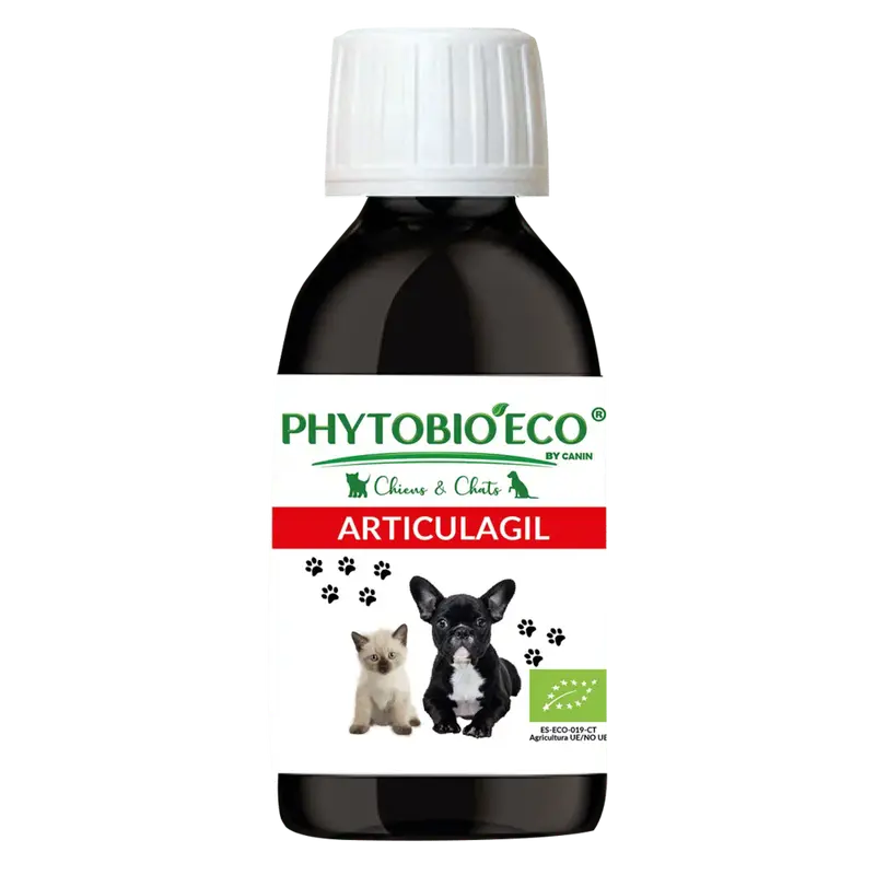 Articulagil