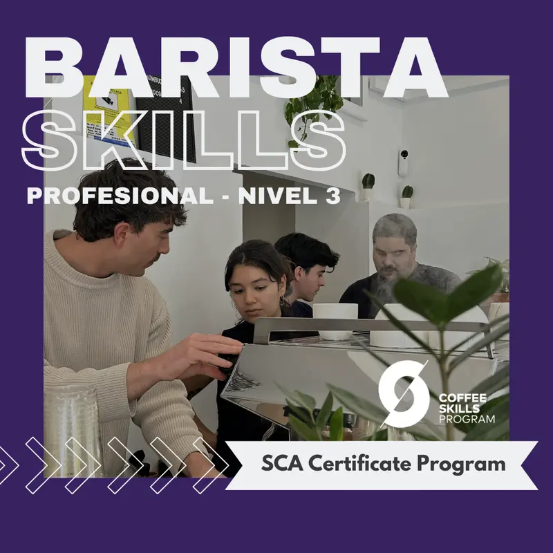 Barista Skills Profesional
