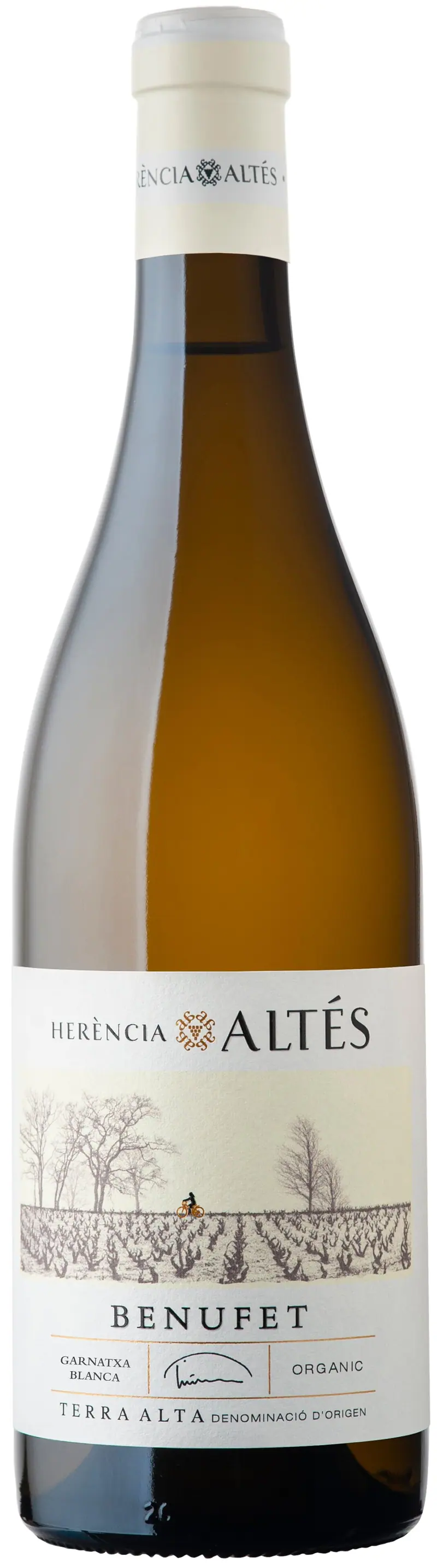 BENUFET 2025