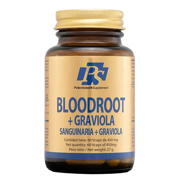 BLOODROOT SANGUINARIA - PS