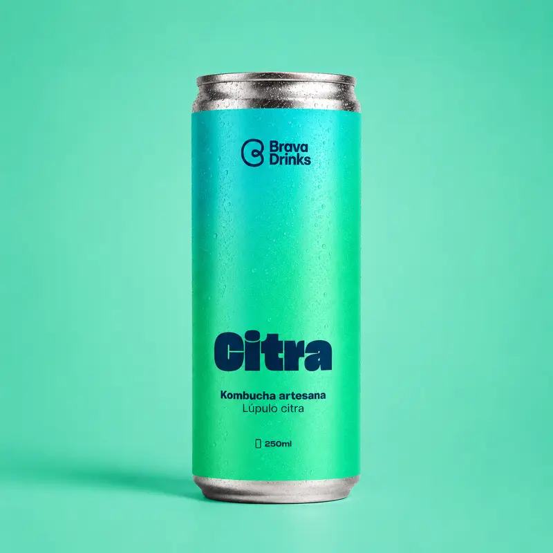 Brava Citra · Best kombucha 2024