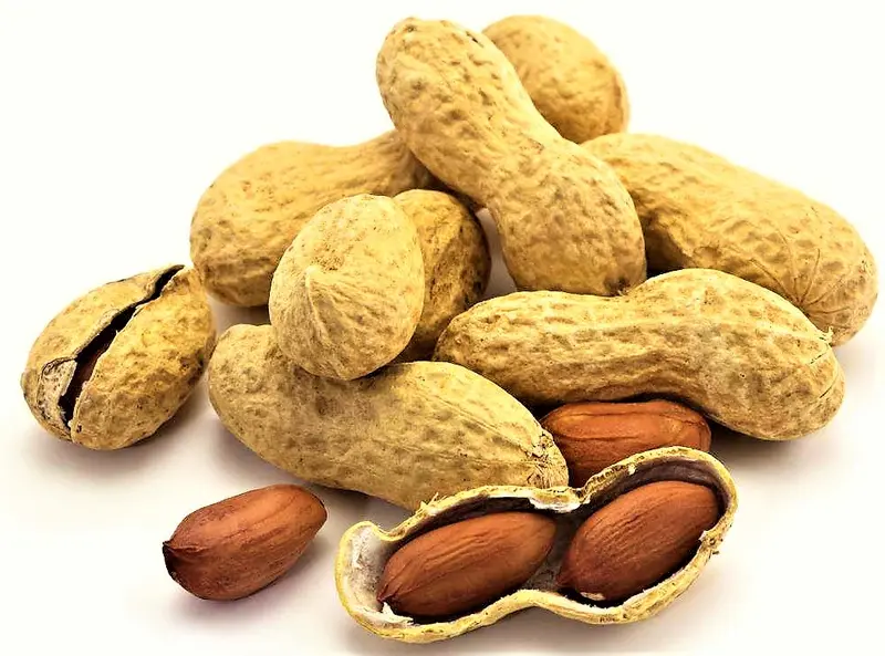 Cacahuetes Cáscara A granel 6,95€ Kg