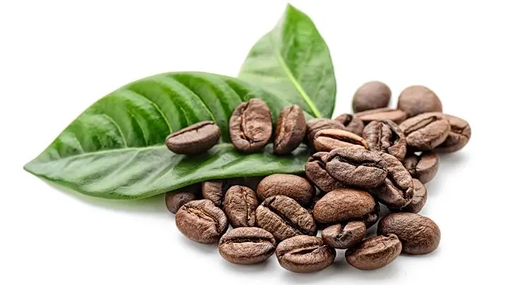 Café Arábica BIO Tueste Natural