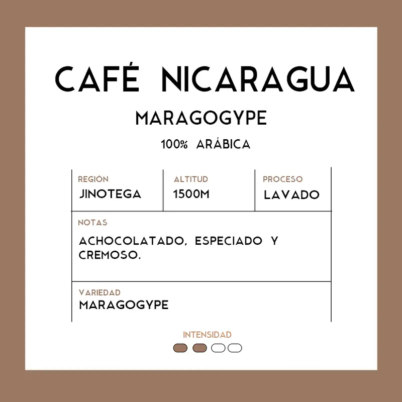 Café Nicaragua Maragogype