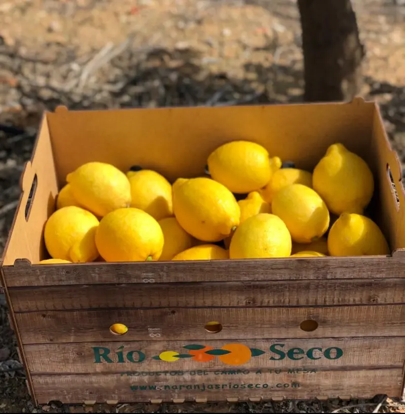 CAJA 10 KG LIMONES