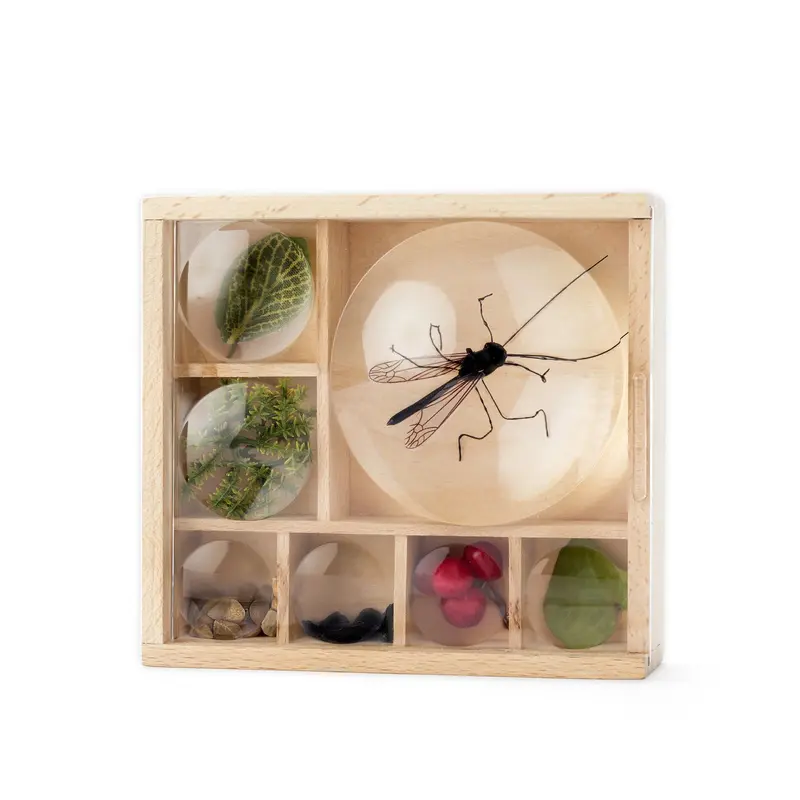 Caja de bichos Huckleberry