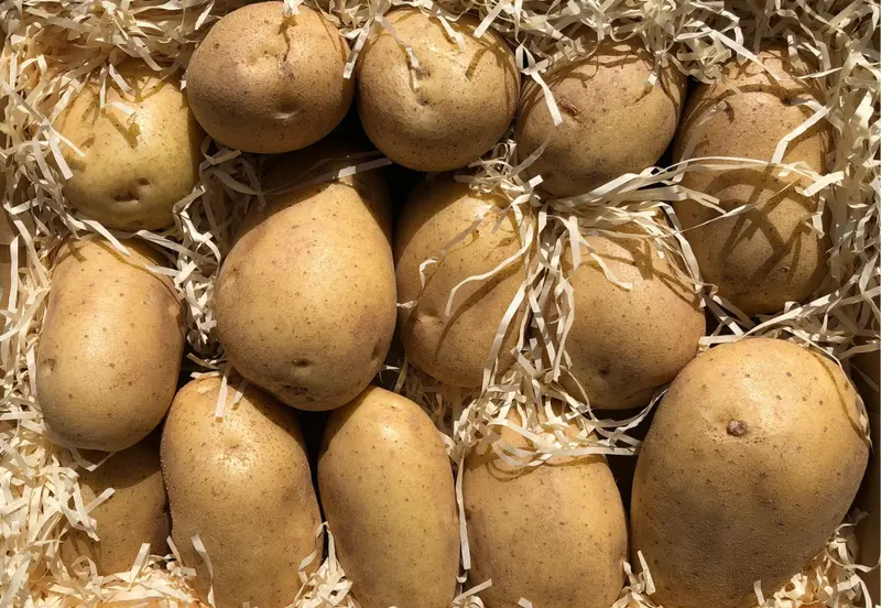 Caja de patatas frescas de Sanlúcar