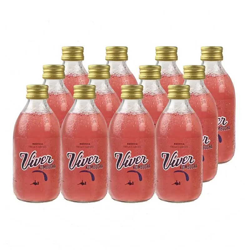 Caja Kombucha Exotica Fresa e Hibisco Bio 12x250ml Viver