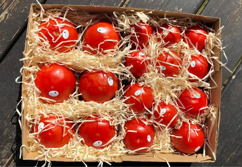 Caja mix de tomates