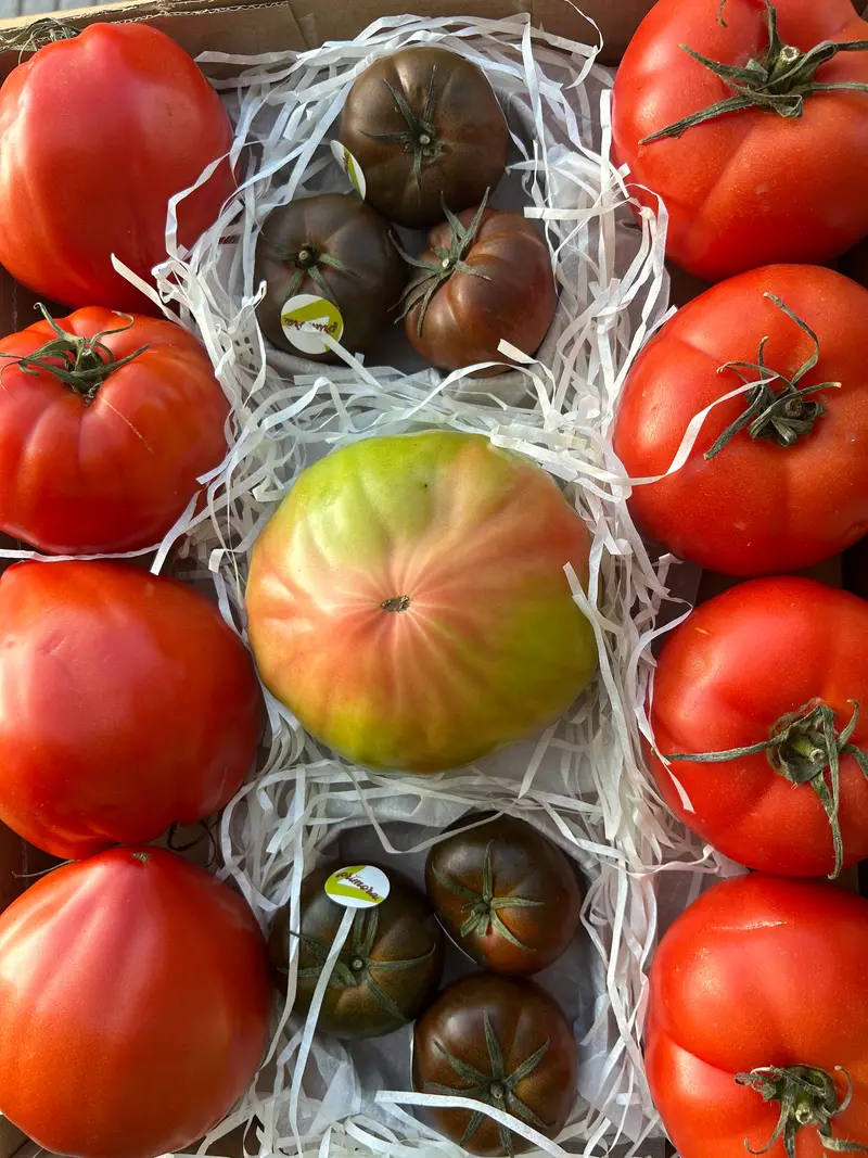 Caja selección de tomates gourmet