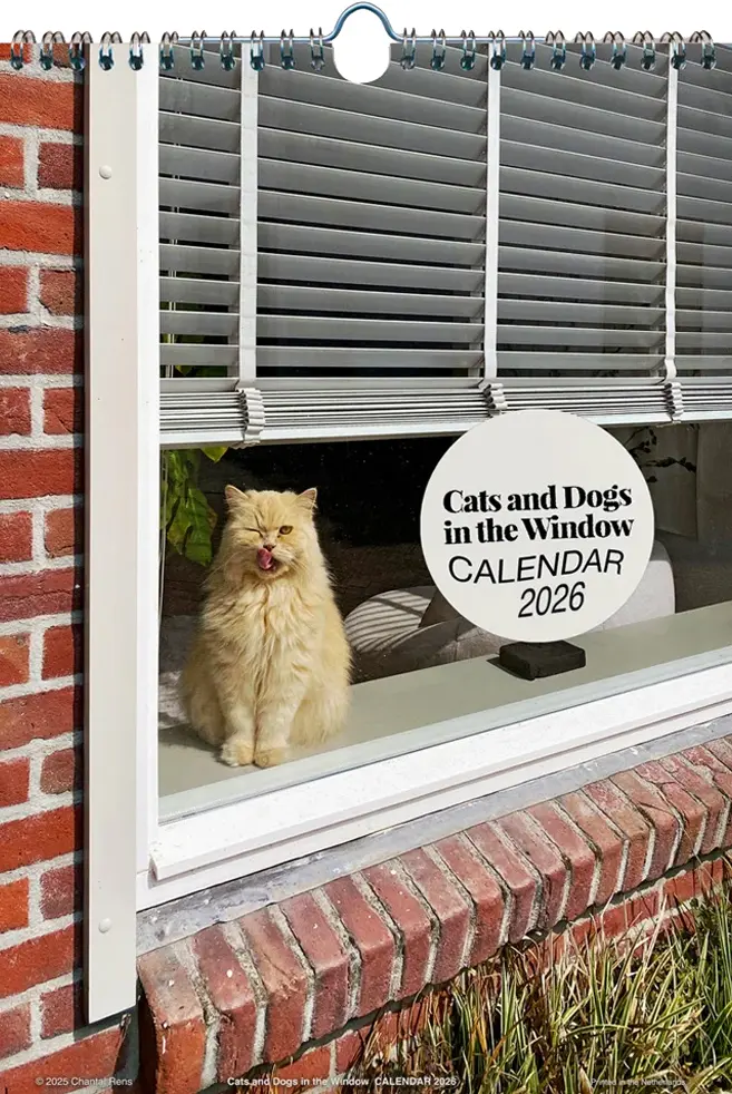 Calendario 2026 Cats and Dogs in the Window