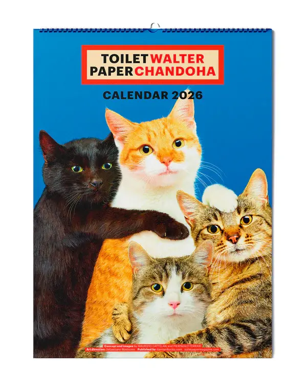 Calendario 2026 Toiletpaper