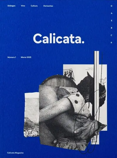 Calicata #1