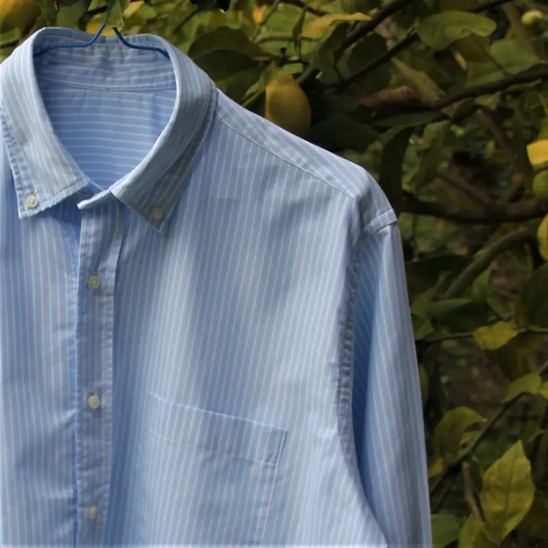 Camisa de Rayas
