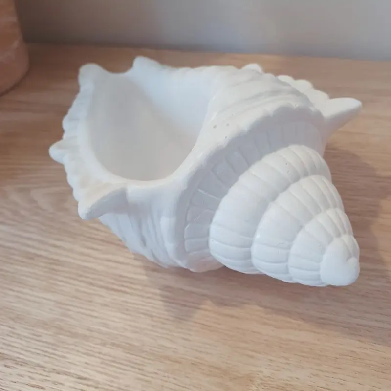 Caracola de Mar