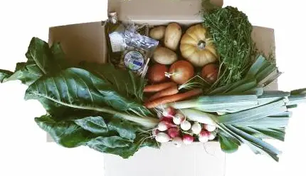 Cesta crema de verduras ecológica