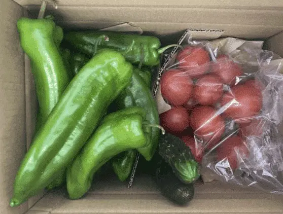 Cesta grande de Gazpacho ecológica