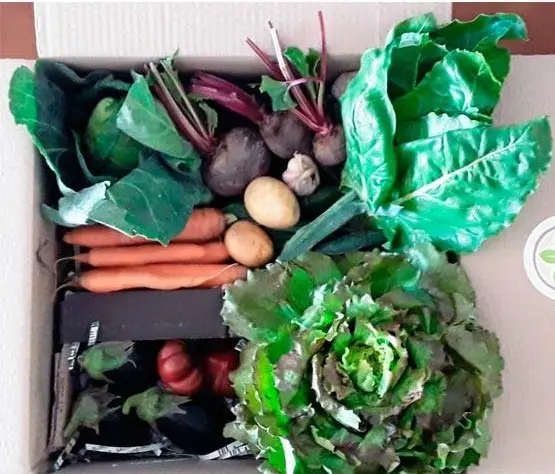 Cesta mediana de verdura ecológica