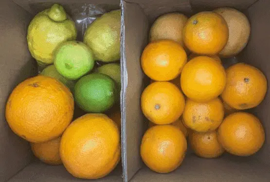 Cesta pequeña de Cítricos ecológica