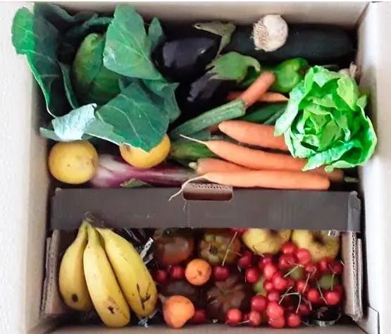 Cesta pequeña mixta de verdura y fruta ecológicas