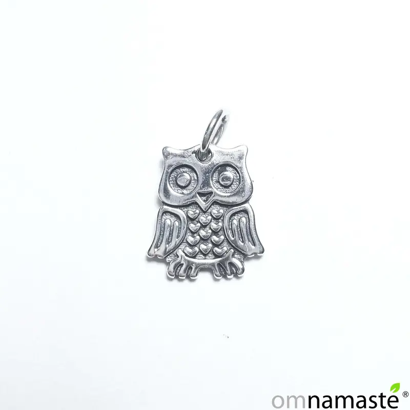 Charm Búho Plata