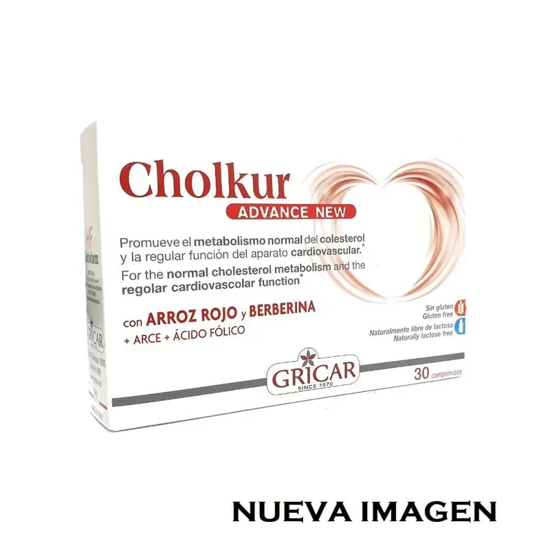 Cholkur Advance - GRICAR