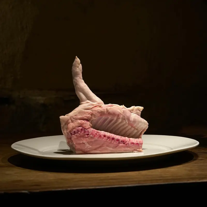 Cochinillo