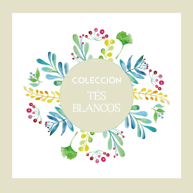 Colección Tés Blancos