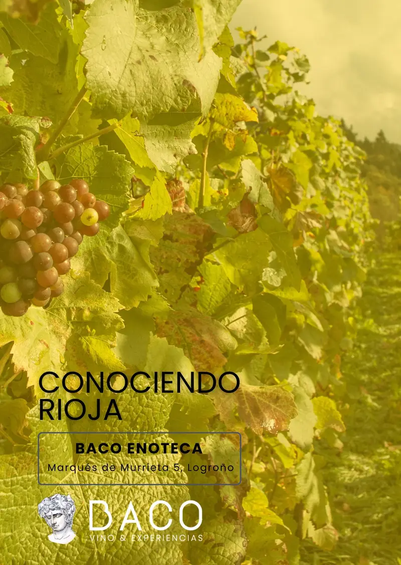 Conociendo Rioja