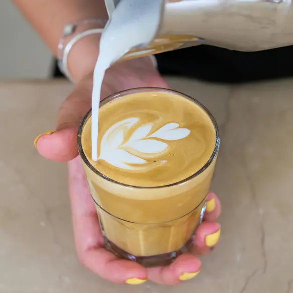 Domina el Latte Art (online)