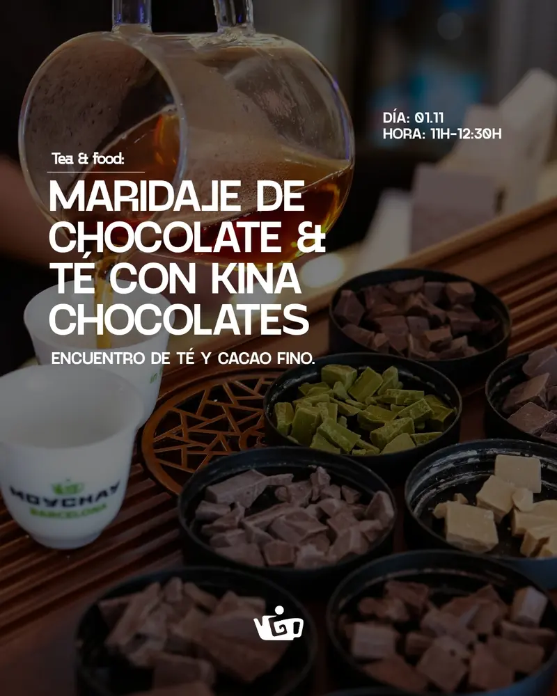 Domingo 01.11 - 11