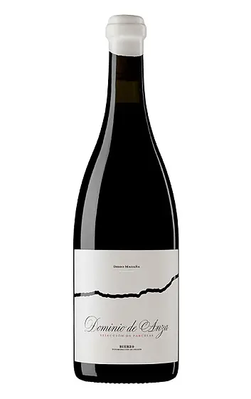 Dominio de Anza Bierzo