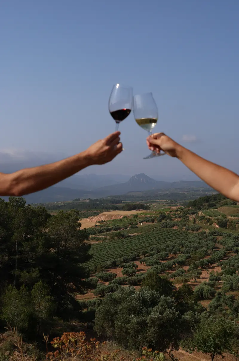 EL PAISAJE DE LA GARNACHA