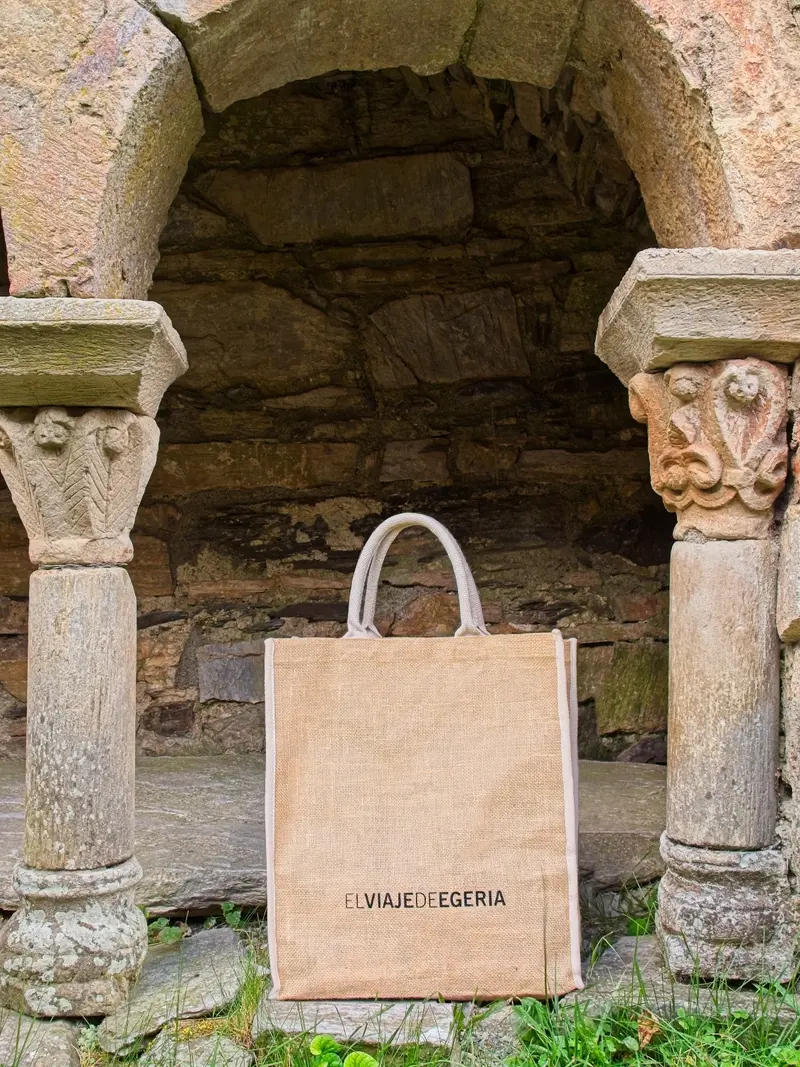 ELVIAJEDEEGERIA BOLSA DE TELA
