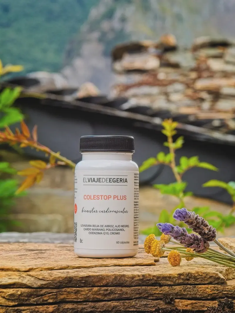 ELVIAJEDEEGERIA COLESTOP PLUS 60 CAPSULAS
