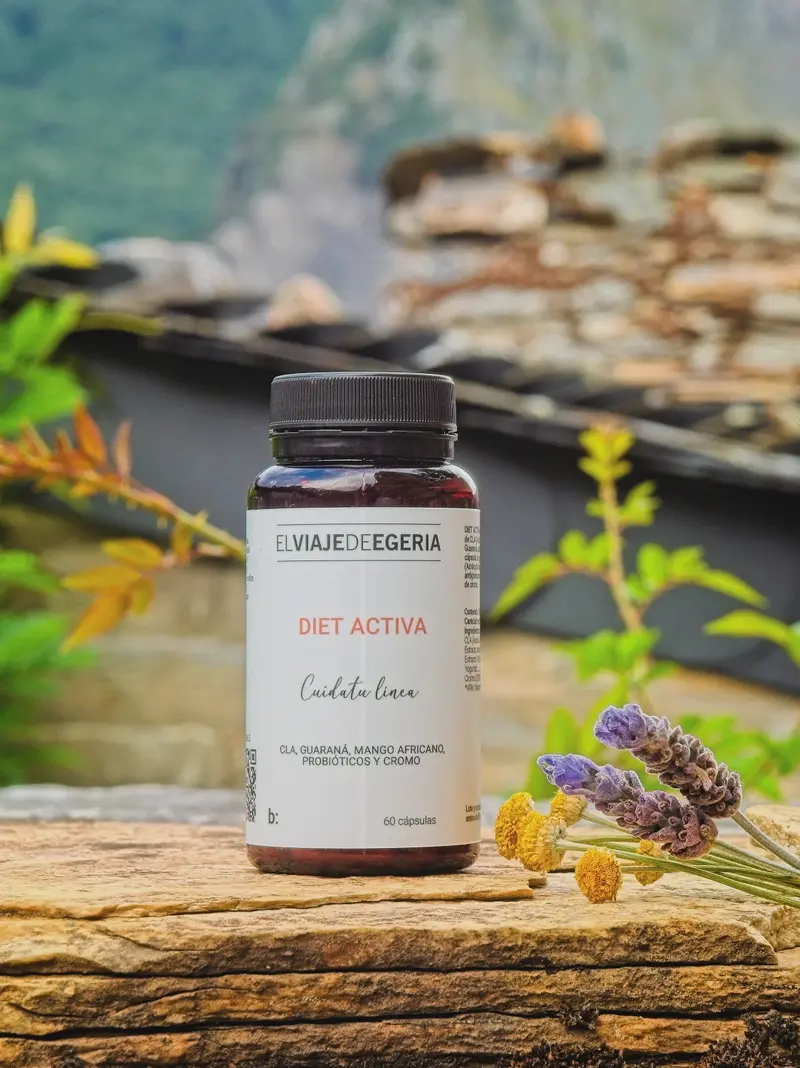ELVIAJEDEEGERIA DIET ACTIVA 60 CAPSULAS
